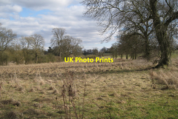 Photo 6"x4" Tussocky grass near Glebe Farm, Haseley Haseley c2010