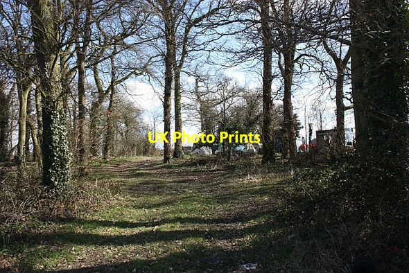 Photo 6"x4" Ley Coppice Hill Croome c2010