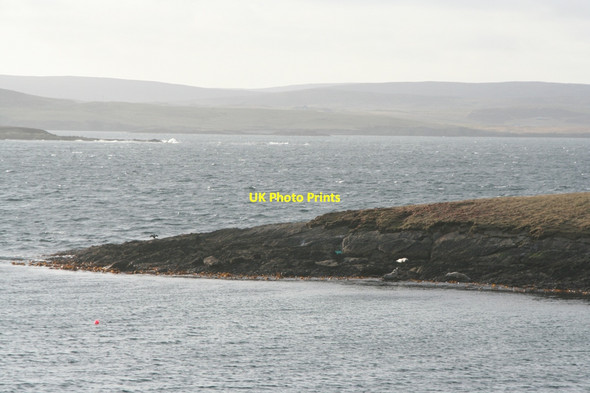 Photo 6"x4" Seals on the point at the north side of Elvis Voe Gunnista c2010