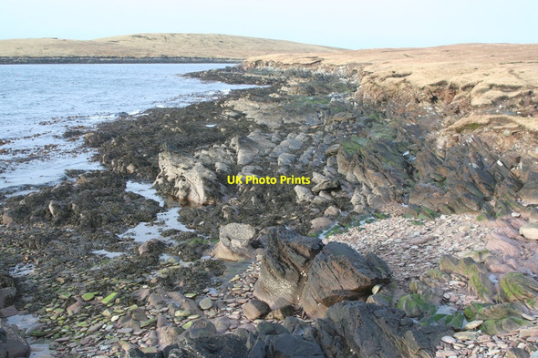 Photo 6"x4" Shoreline on west side of AithNess looking in the direction of Elvis Voe Gunnista c2010