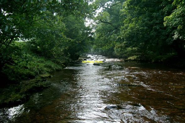 Photo 6"x4" River Cover Middleham\/SE1287 c2008