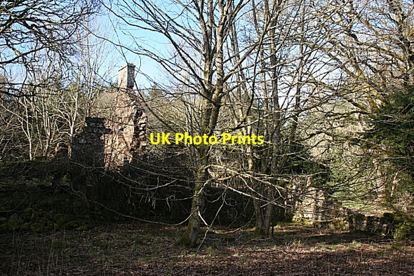 Photo 6"x4" Ruined House Nether Kinmundy c2010