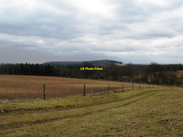Photo 6"x4" View SW from the Monarch's Way Upwaltham c2010