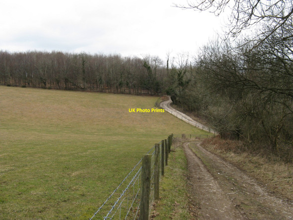 Photo 6"x4" Bridleway south of Gumber Corner Upwaltham c2010