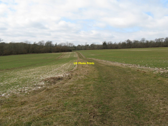 Photo 6"x4" Bridleway between Trot Row and Stammers Copse Madehurst c2010