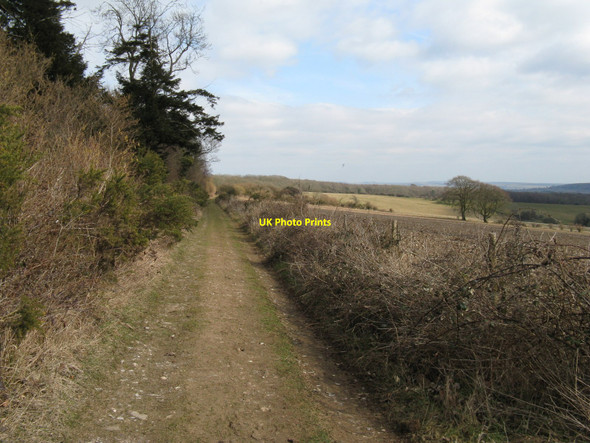 Photo 6"x4" Bridleway to Gumber Corner from Upwaltham Hill Upwaltham c2010