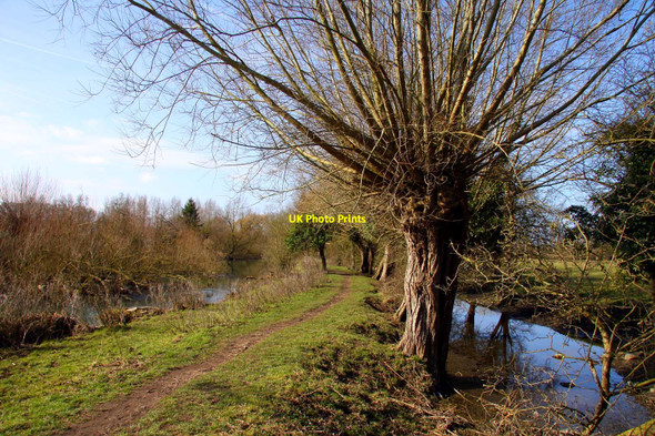 Photo 6"x4" Willow Walk from Walton Well Road Oxford\/SP5106 c2010