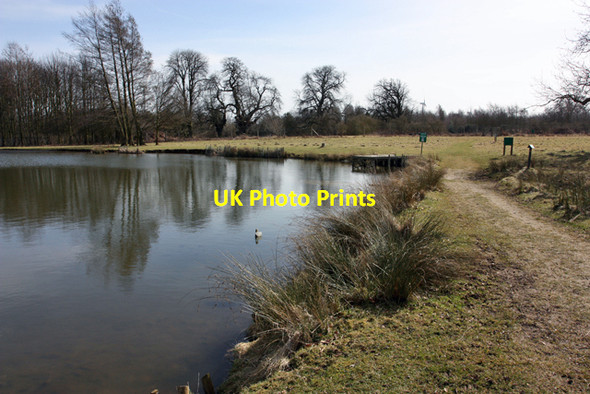 Photo 6"x4" The end of the lake, Normanby Hall Country Park Normanby\/SE8816 c2010