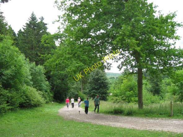 Photo 6"x4" Walkers in Wendover Woods on Mid-Summer Day Chivery c2009