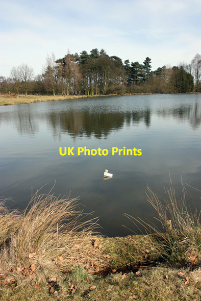 Photo 6"x4" Fishing Lake, Normanby Hall Country Park Normanby\/SE8816 c2010