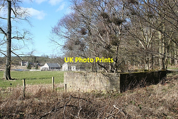 Photo 6"x4" What is it? Banff\/NJ6864 c2010