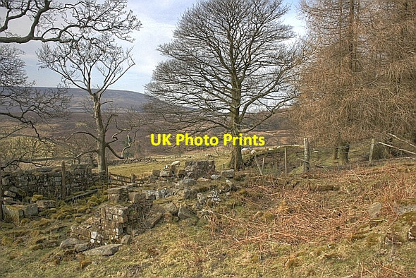 Photo 6"x4" High Cote (Stebynthwayte) Dale Head\/SE4994 c2010