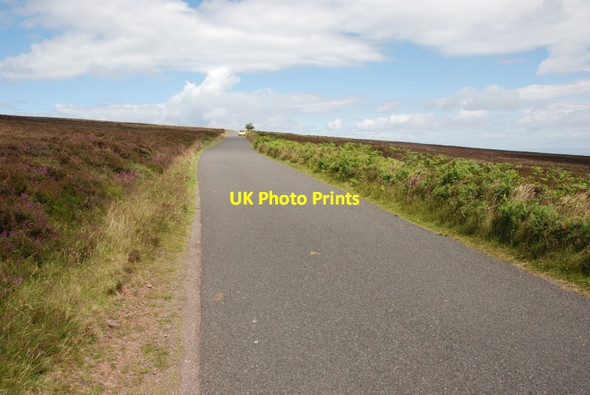 Photo 6"x4" Exmoor: Dunkery Hill Brockwell c2008