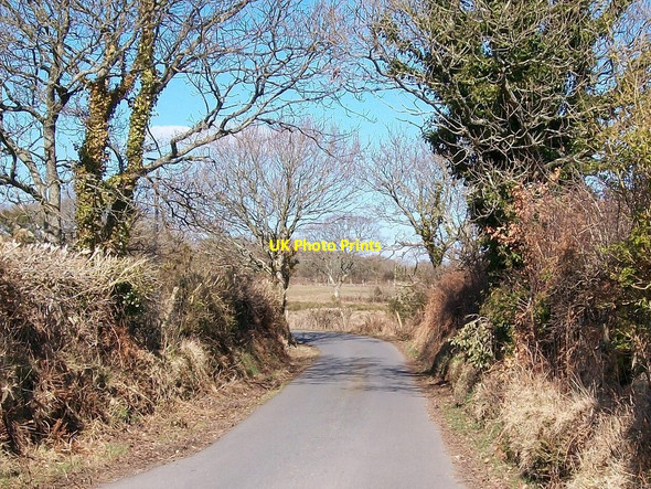 Photo 6"x4" The road north towards Llecheiddior Rhoslan c2010
