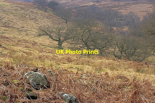 Photo 6"x4" Black Intake Hagg House Fm\/SE5293 c2010