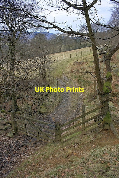 Photo 6"x4" Track, South Wood Hagg House Fm\/SE5293 c2010