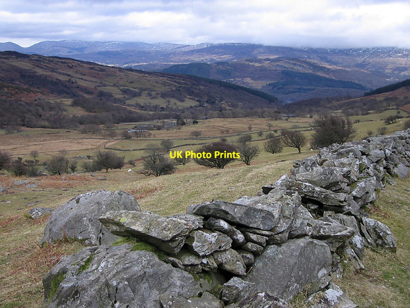 Photo 6"x4" Cae Goronwy Llechfraith c2010