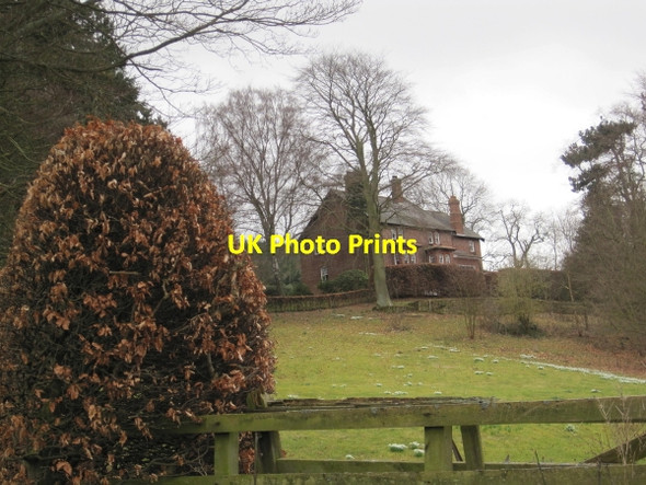 Photo 6"x4" West Fell near Corbridge Dilston c2010