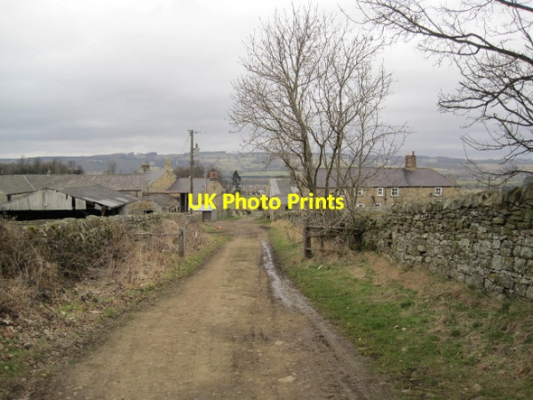 Photo 6"x4" Farm Track leading to High Town Farm Dilston c2010