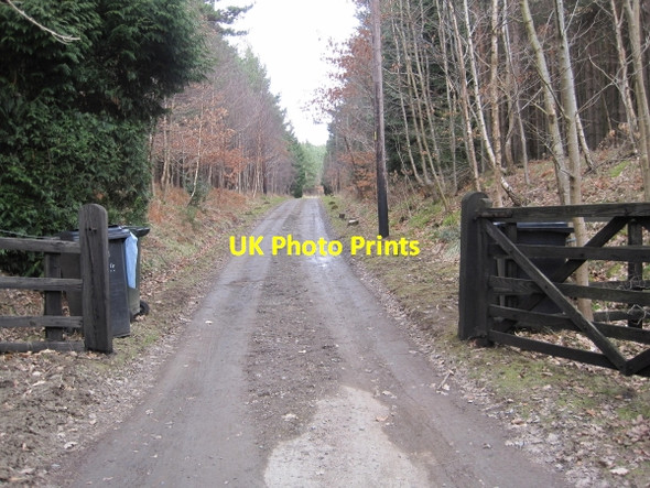 Photo 6"x4" Track leading to Lightwater Cottages Lee\/NY9459 c2010