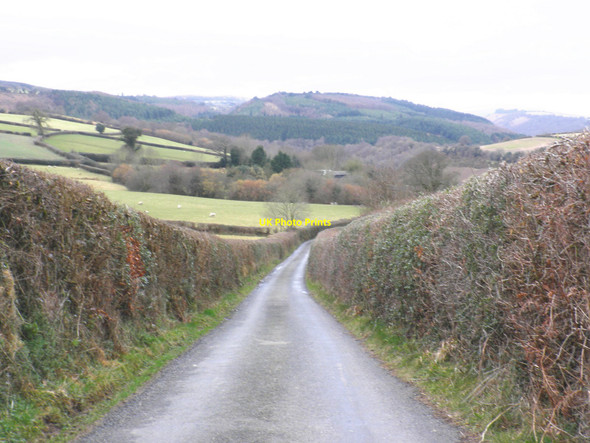 Photo 6"x4" Boyland Road, west of Dunsford Butts\/SX8089 c2010