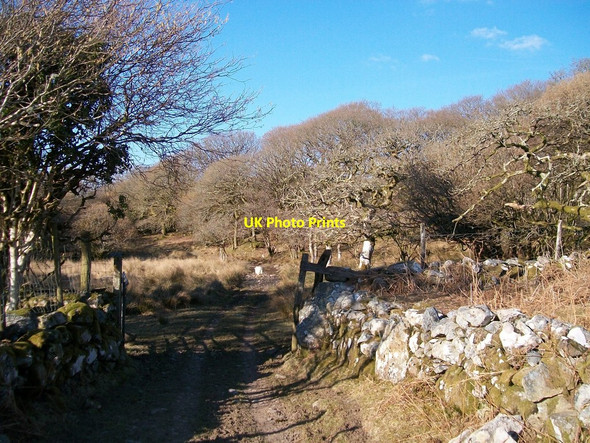 Photo 6"x4" Farm track north of Ystum-cegid-ganol Rhoslan c2010