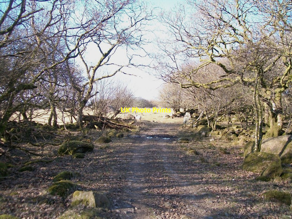 Photo 6"x4" The Ystum-cegid farm track Rhoslan c2010