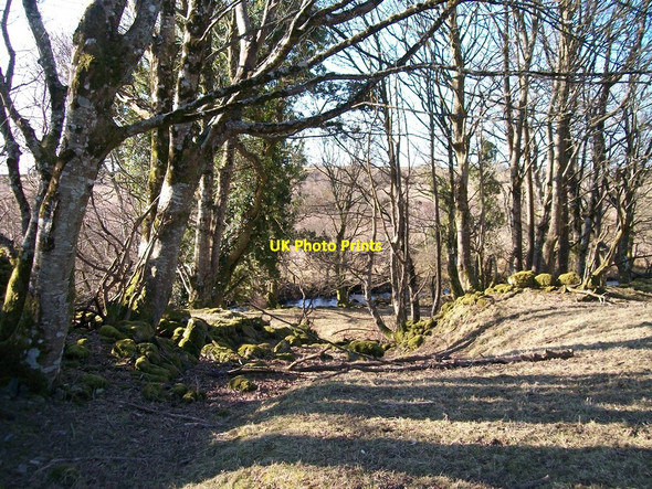 Photo 6"x4" The east bank of Afon Dwyfor Rhoslan c2008