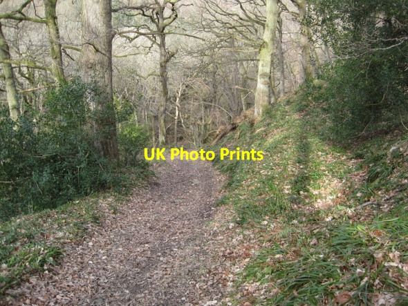 Photo 6"x4" Footpath to Dipton Burn and Dipton House Beauclerc c2010