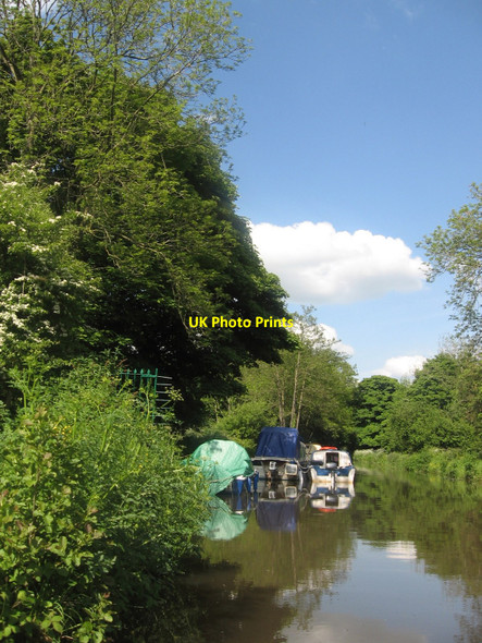 Photo 6"x4" Cruising the Canal Pontypool\/Pont-y-pwl c2009