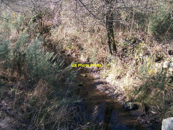 Photo 6"x4" An unnamed tributary of the Dwyfach Llanystumdwy c2010
