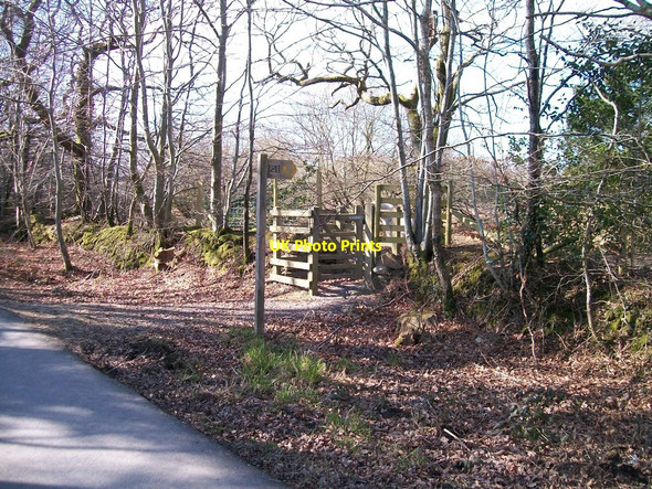 Photo 6"x4" Gateway to the Lon Goed on the north side of road Rhosgyll c2010