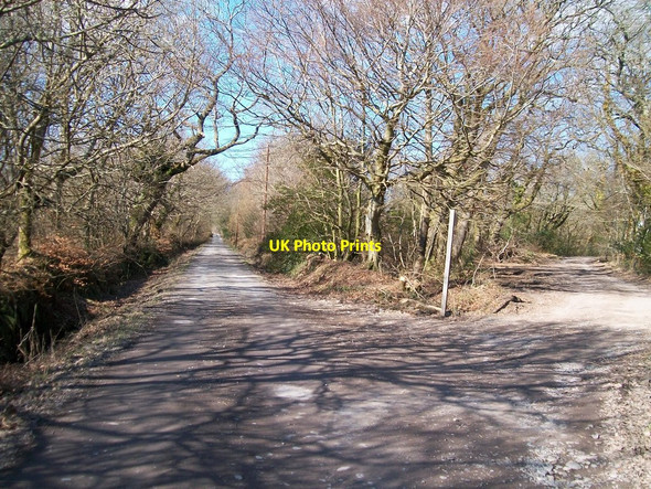 Photo 6"x4" Intersection of the Rhoscyll farm access road and Y Lon Goed Rhosgyll c2010