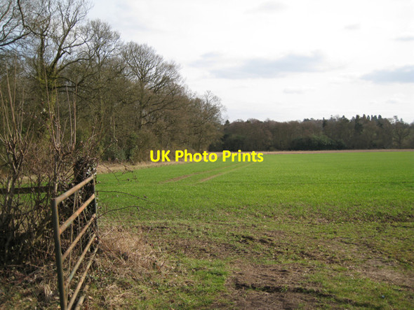 Photo 6"x4" Edge of a wood, Haseley Haseley c2010