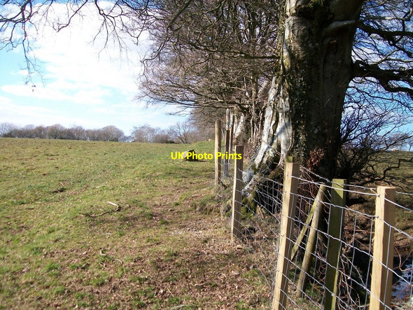 Photo 6"x4" The Rhosddu footpath Rhosgyll c2010