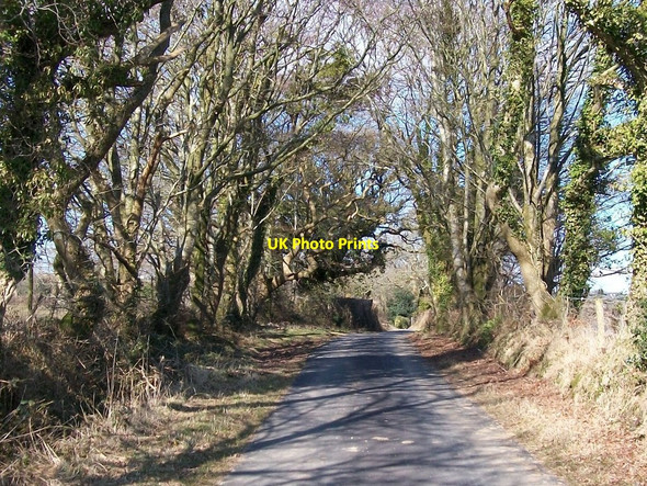 Photo 6"x4" The Criccieth road south of Betws Bach Rhoslan c2008