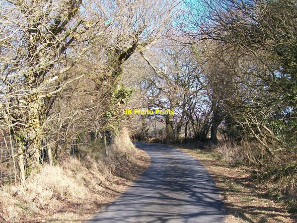 Photo 6"x4" View north along the unclassified road near Tyddyn Crythor Rhoslan c2010