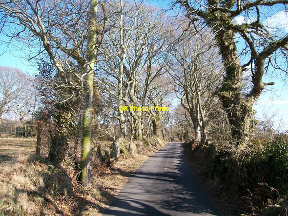 Photo 6"x4" Ascending road between the hamlet of Plas Hen and Betws Fawr Farm Llanystumdwy c2010