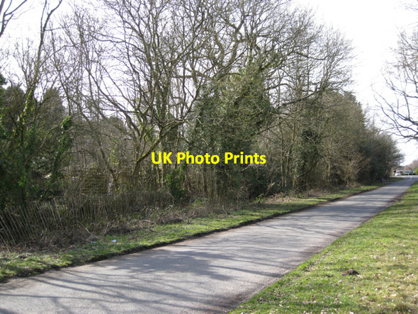 Photo 6"x4" Derelict woodland, Moat House, Honiley Haseley Knob c2010