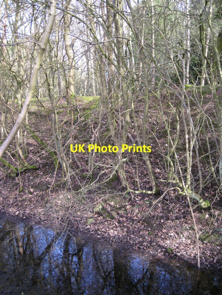 Photo 6"x4" Bank and ditch, Moat House, Honiley Haseley Knob c2010