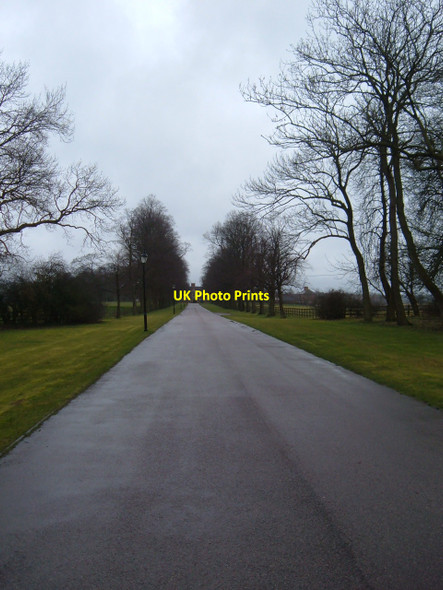 Photo 6"x4" Driveway to Horwood House Little Horwood c2010