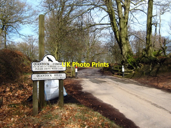 Photo 6"x4" Crowcombe Park Gate Crowcombe c2010