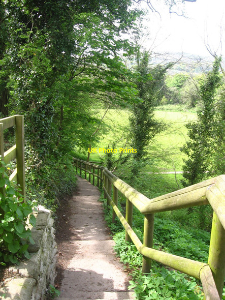 Photo 6"x4" Path to the Fields Cwmbran\/Cwmbr\u00e2n c2009
