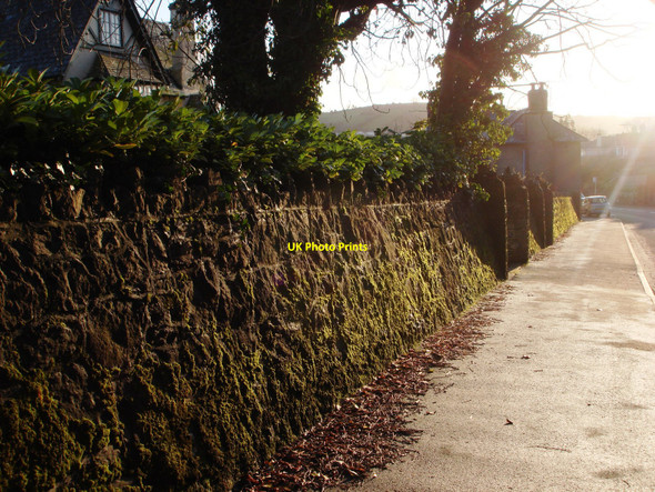 Photo 6"x4" Mossy wall, sunlight after rain, Totnes Totnes c2010