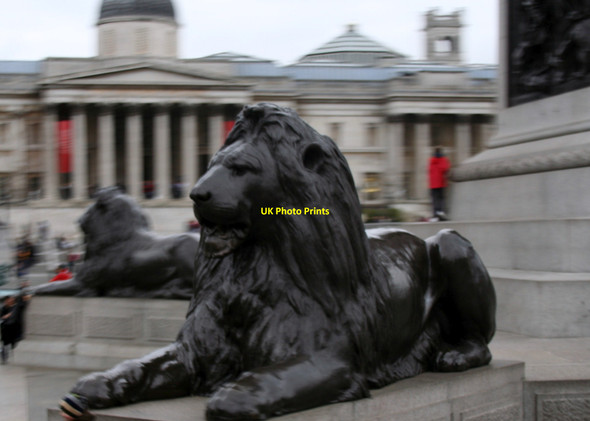 Photo 6"x4" Trafalgar Lion London c2009