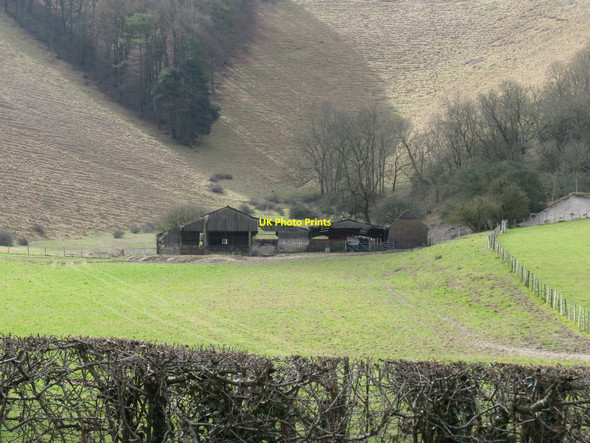 Photo 6"x4" Old barns at the base of the northern escarpment of the South Downs Westmeston c2010