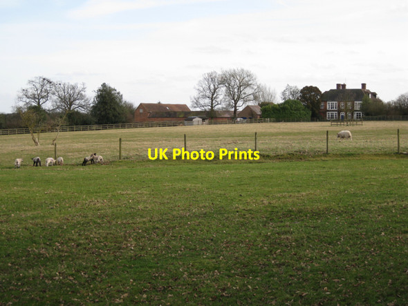 Photo 6"x4" Beausale House from the northwest with lambs Waste Green c2010