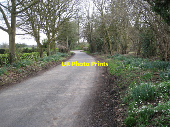 Photo 6"x4" Roadside gardening, Beausale Lane, Waste Green Waste Green c2010