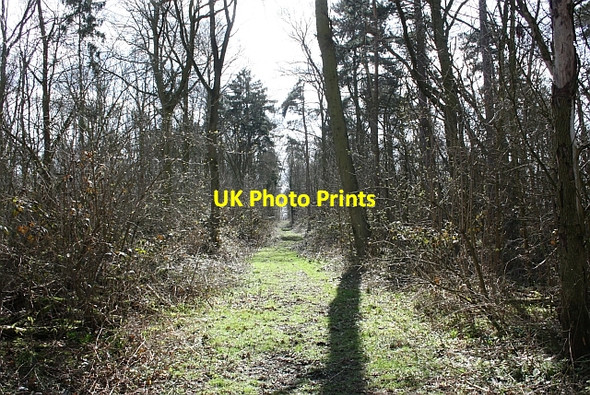 Photo 6"x4" Bridleway through The Ridings Woodmancote\/SO9042 c2010