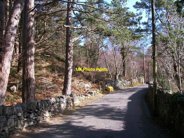 Photo 6"x4" Gallt Fachwen below Pen-y-clip Pen-gilfach c2010